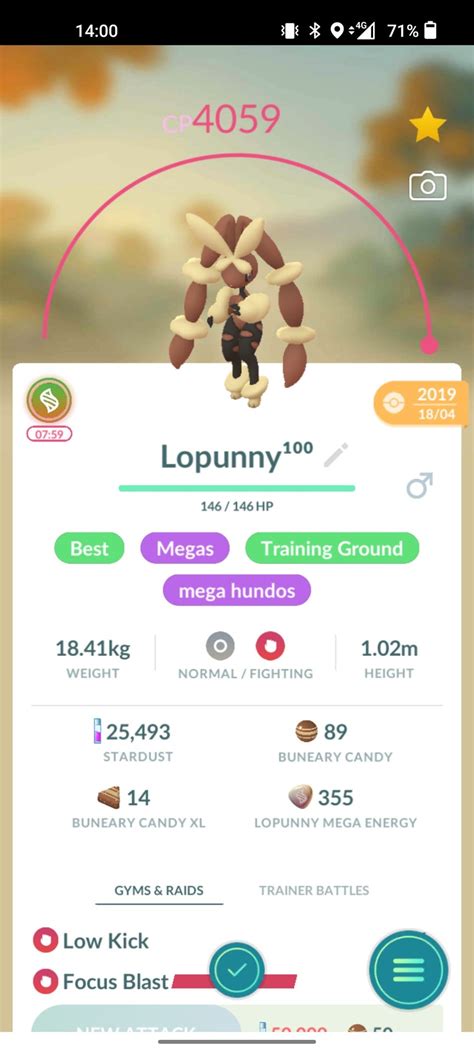 mega lopunny pokemon go.